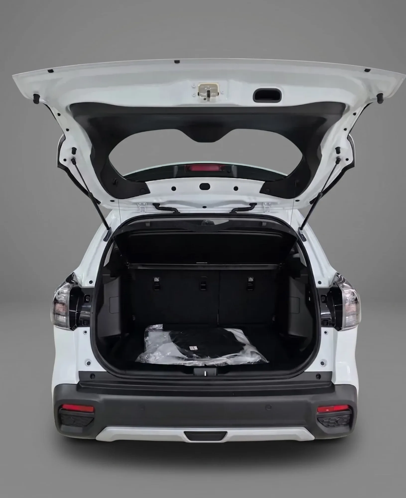 SUV Suzuki S-Cross Hybrid 2027 in Kansas City — photo 6
