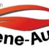 Vene Auto